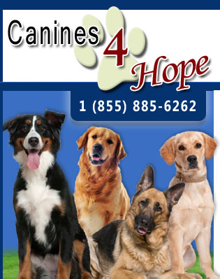 Canines 4 Hope Dog Trainers, Diabetes Service Dogs, Diabetes Alert Dogs, Hypo Alert Dogs