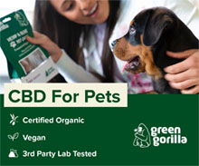 CBD for Pets - Organic CBD Dog Treats and Oils - Green Gorilla