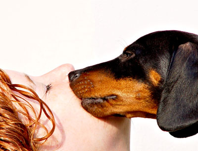 Hypo Alert Dogs | Diabetes Alert Dogs | Diabetic Service Dogs