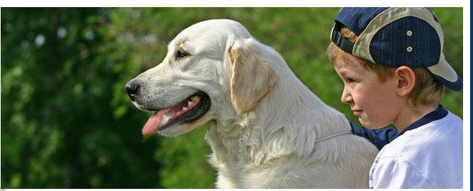 assistance dog trainer courses