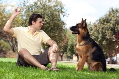 A man sitting on a lawn holding a training treat up while a German Shepherd sits watching him closely