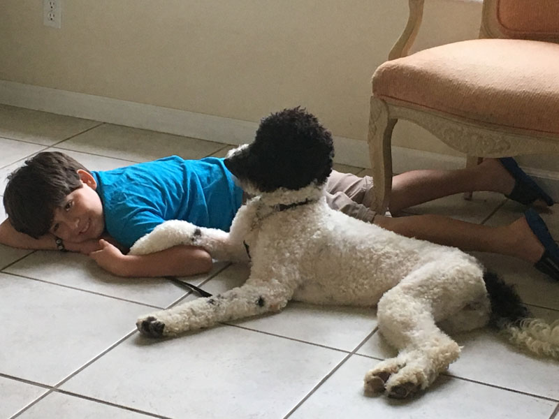 A boy lying on a tiled floor with his arm over a black and white curly coated dog stretched out beside him.