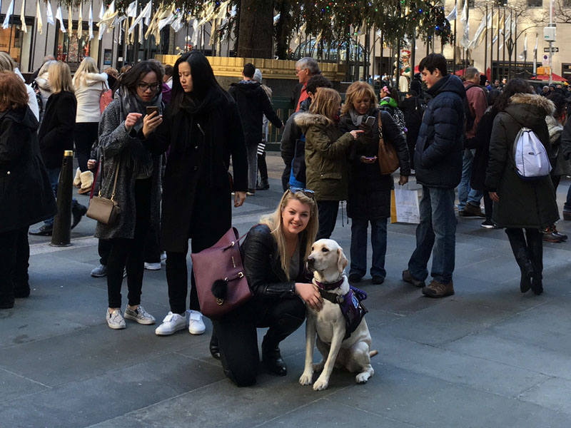 A woman kneels beside a yellow Labrador in a purple vest on a busy city plaza, with a crowd of people walking behind them.