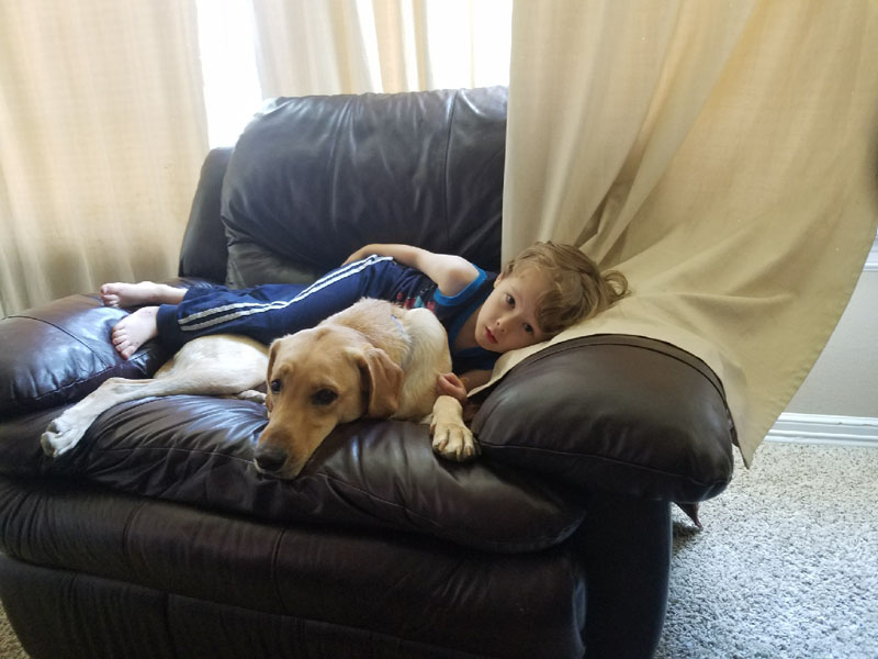 A young child lies across a large leather armchair beside a yellow Labrador resting its head on the cushion.