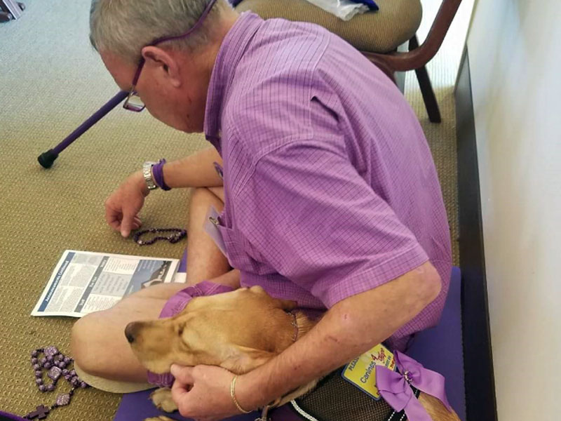An older man in a purple shirt sits on a carpeted floor leaning over a yellow dog resting across his lap; the dog wears a purple bandana and ribbon, and a cane, purple beads and a printed sheet lie on the floor to his left.
