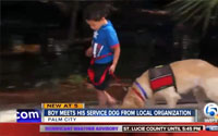 A New Leash on Life: 4-year-old South Carolina boy on autism spectrum paired with local service dog